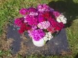 image of grave number 953867